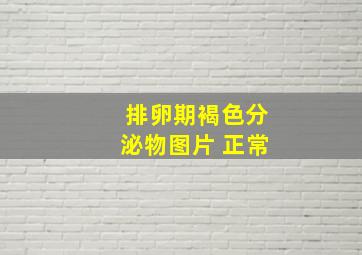 排卵期褐色分泌物图片 正常